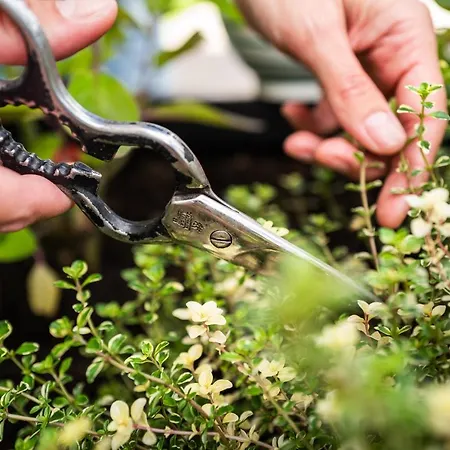 Kaisermoments Lejlighed Going am Wilden Kaiser