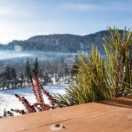 Kaisermoments Lejlighed