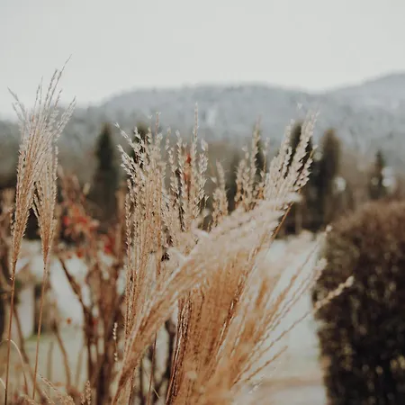 Lejlighed Kaisermoments